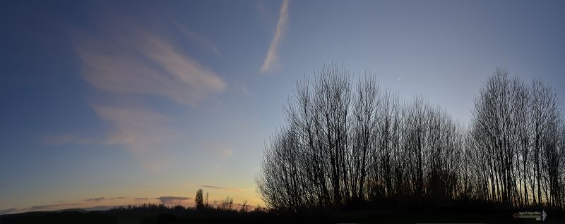 Atardecer con siluetas de invierno.jpg